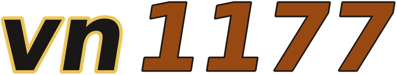 vn1177 logo